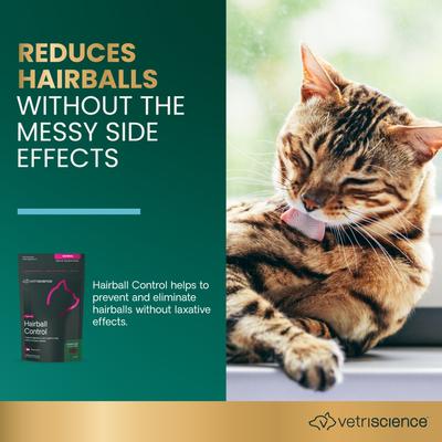 Show full view: VetriScience Hairball Chicken Liver Flavored Soft Chews Hairball Control Supplement for Cats, 60 count slide 3 of 10
