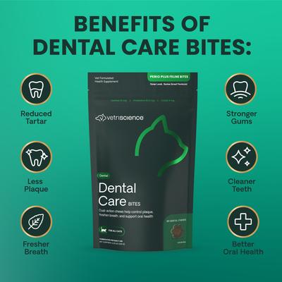 Show full view: VetriScience Perio Plus Everyday Health Feline Bites Dental Cat Treats, 4.23-oz bag, 60 chews slide 6 of 10