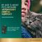 Show in main carousel: VetriScience Perio Plus Everyday Health Feline Bites Dental Cat Treats, 4.23-oz bag, 60 chews slide 3 of 10