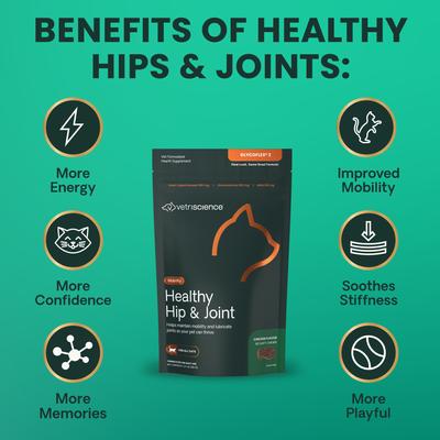 Show full view: VetriScience GlycoFlex 2 Chicken Liver Flavored Soft Chews Joint Supplement for Cats, 60 count slide 6 of 11