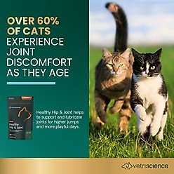 VetriScience GlycoFlex 2 Chicken Liver Flavored Soft Chews Joint Supplement for Cats, 60 count slide 2 of 8