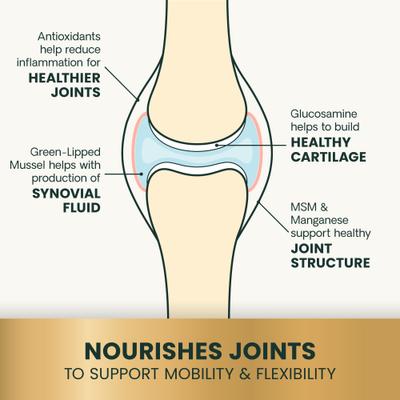 Show full view: VetriScience GlycoFlex Plus Ultimate Strength Healthy Hip & Joint Fish Flavored Chews Supplement for Cats, 30 count slide 6 of 12