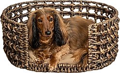 THE LICKER STORE Gigi Modern Bohemian Handwoven Hyacinth Open-Weave Oval Dog Bed, Brown