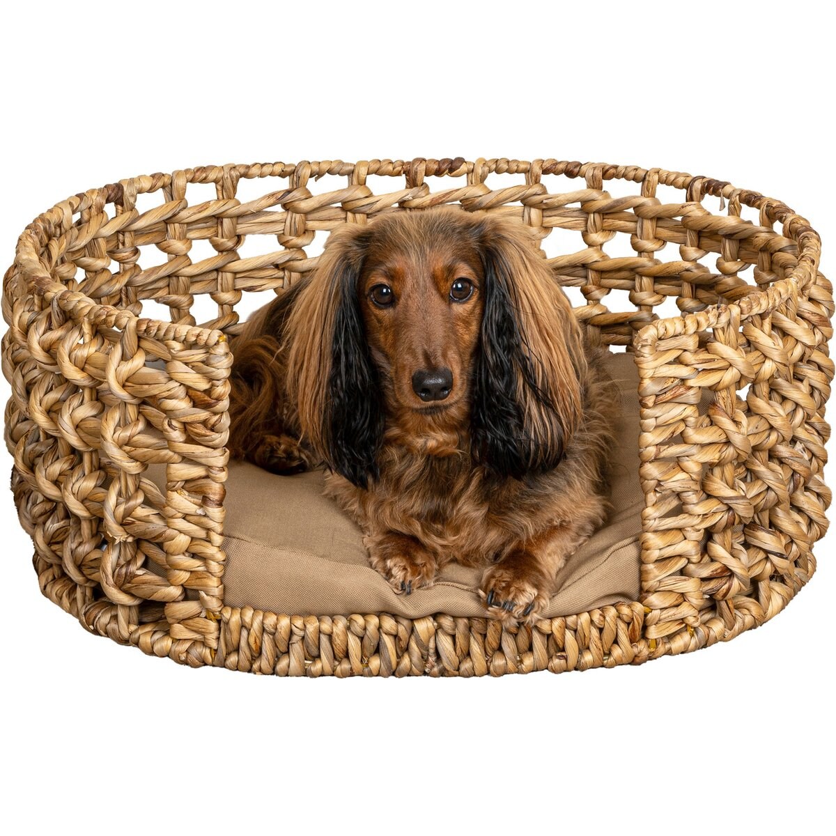 THE LICKER STORE Gigi Modern Bohemian Handwoven Hyacinth Open-Weave Oval Dog Bed, Natural