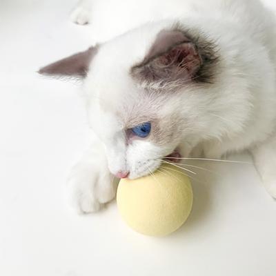 Show full view: EYS EVA Foam Stationary Sound & Catnip Ball Set Cat Toy, Blue, 3 count slide 9 of 9