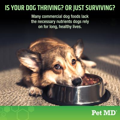 Show full view: Pet MD 5-in-1 Multivitamin Soft Chew for Dogs, 60 count slide 3 of 7