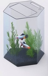 ProStar Acrylic Aquariums Hexagon Fish Tank, Clear, 12-gal