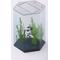 Show in main carousel: ProStar Acrylic Aquariums Hexagon Fish Tank, Clear, 20-gal slide 1 of 2