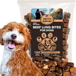 Brutus & Barnaby Single-Ingredient High Protein Beef Lung Bites Dehydrated Dog Treats, 16-oz bag