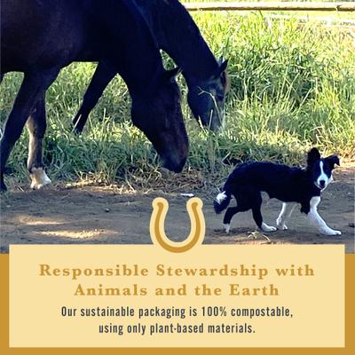 Show full view: Withers & Withers Organic Cinnamon Plant-Based & Sugar-Free Formula Horse Nutra-Treats, 16-oz bag slide 6 of 10