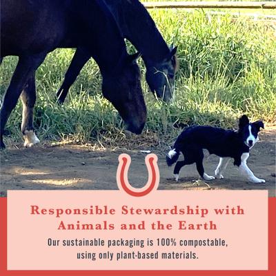 Show full view: Withers & Withers Organic Ginger & Licorice Plant-Based & Sugar Free Formula Horse Nutra-Treats, 16-oz bag slide 6 of 8