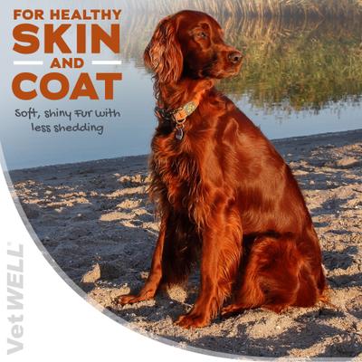 Show full view: VetWELL DermWell Omega 3 6 9 Soft Chew Supplement for Dogs, 60 count slide 4 of 8