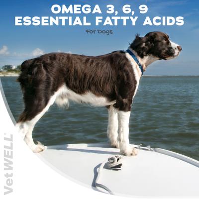 Show full view: VetWELL DermWell Omega 3 6 9 Soft Chew Supplement for Dogs, 60 count slide 3 of 8