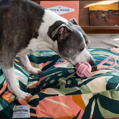 Show full view: ADC Houndstone & Co. Houndstone Heavy Duty Dog Rope Toy, Grey, Large slide 5 of 8