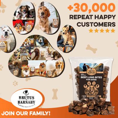 Show full view: Brutus & Barnaby Single-Ingredient High Protein Beef Lung Bites Dehydrated Dog Treats, 8-oz bag slide 9 of 11