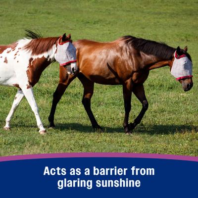 Show full view: Farnam SuperMask II Horse Fly Mask Classic Collection, Color Varies, Yearling slide 4 of 10