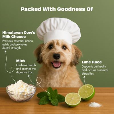 Show full view: Pawfect Himalayan Cheese Bars Mint Dog Chews, Small, 10 count slide 4 of 9