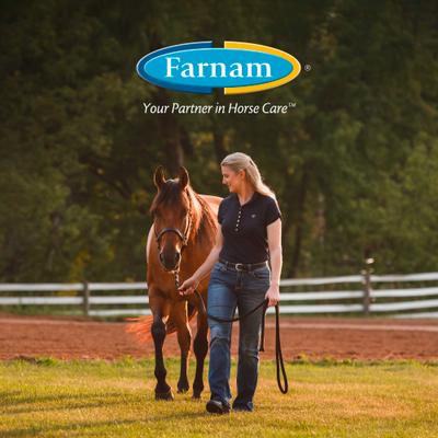 Show full view: Farnam SuperMask II Horse Fly Mask Classic Collection, Color Varies, Arabian slide 8 of 10