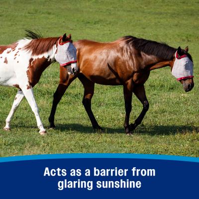 Show full view: Farnam SuperMask II Horse Fly Mask Classic Collection, Color Varies, Arabian slide 4 of 10