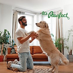 Pawfect Himalayan Cheese Bars Mint Dog Chews, Small, 10 count slide 2 of 7