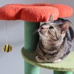 Show in main carousel: THE LICKER STORE Poppy Modern 29-in 3-Tier Jute Flower with Dangling Toy Cat Tree, Orange/Green slide 9 of 10