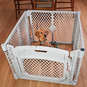 dog&co 　POINT-H Amazon.com: PawHut Outdoor Dog Kennel, Heavy Duty Dog Run