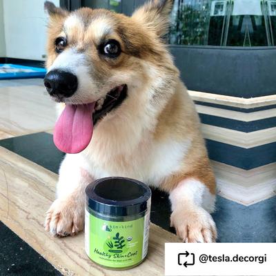 Show full view: kin+kind Organic Healthy Skin & Coat Dog & Cat Supplement, 4-oz bottle slide 9 of 12