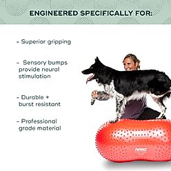 FitPAWS TRAXPeanut Dog Stability Ball, Small slide 2 of 6