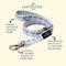 Show in main carousel: Lucy & Co. Bow Wow Wow Leash, Large, 5-ft long, 1-in wide slide 2 of 6
