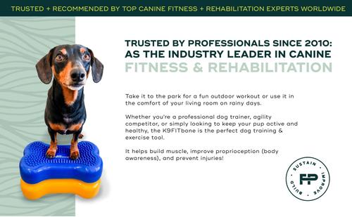 Show full view: FitPAWS K9FITbone Dog Training Mini Regular Balancing Bone, Blue, 2 count slide 9 of 11