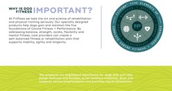 FitPAWS K9FITbone Dog Training Mini Regular Balancing Bone, Blue, 2 count slide 2 of 9