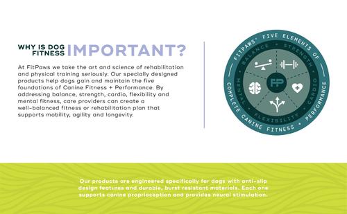 Show full view: FitPAWS K9FITbone Dog Training Mini Regular Balancing Bone, Blue, 2 count slide 10 of 11