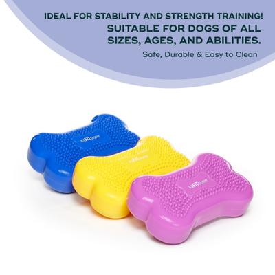 Show full view: FitPAWS K9FITbone Dog Training Mini Regular Balancing Bone, Blue, 2 count slide 6 of 11