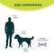 Show in main carousel: FitPAWS K9FITbone Dog Training Mini Regular Balancing Bone, Blue, 2 count slide 7 of 11