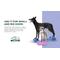 Show in main carousel: FitPAWS K9FITbone Dog Training Mini Regular Balancing Bone, Blue, 2 count slide 8 of 11