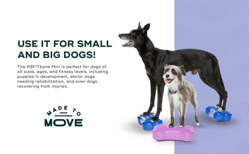 Show full view: FitPAWS K9FITbone Dog Training Mini Regular Balancing Bone, Blue, 2 count slide 8 of 11