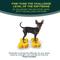 Show in main carousel: FitPAWS K9FITbone Dog Training Mini Regular Balancing Bone, Mango, 2 count slide 3 of 10