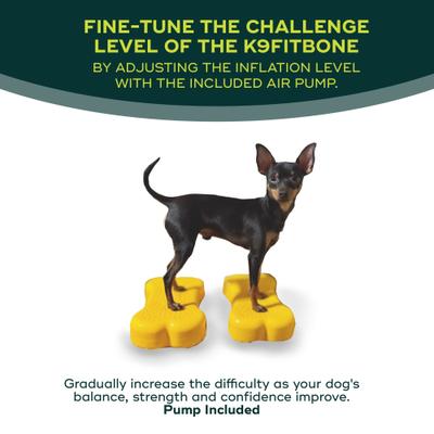 Show full view: FitPAWS K9FITbone Dog Training Mini Regular Balancing Bone, Mango, 2 count slide 3 of 10