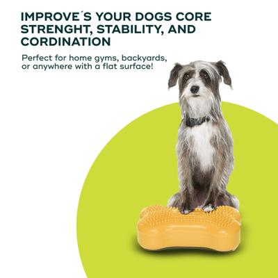 Show full view: FitPAWS K9FITbone Dog Training Mini Regular Balancing Bone, Mango, 2 count slide 2 of 10