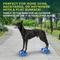 Show in main carousel: FitPAWS K9FITbone Dog Training Mini Regular Balancing Bone, Blue, 2 count slide 5 of 11