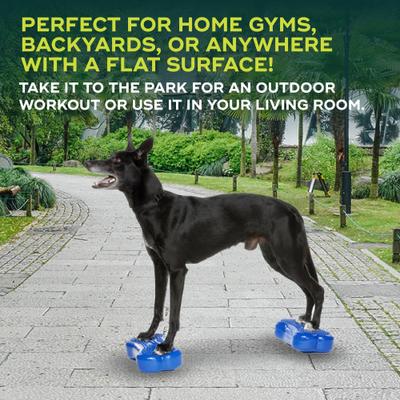 Show full view: FitPAWS K9FITbone Dog Training Mini Regular Balancing Bone, Blue, 2 count slide 5 of 11