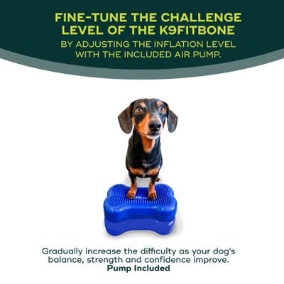 Show full view: FitPAWS K9FITbone Dog Training Mini Regular Balancing Bone, Blue, 2 count slide 4 of 11