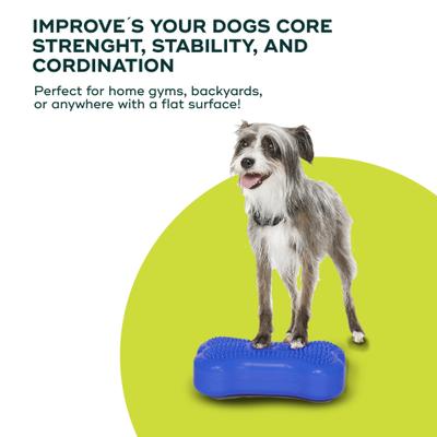 Show full view: FitPAWS K9FITbone Dog Training Mini Regular Balancing Bone, Blue, 2 count slide 3 of 11