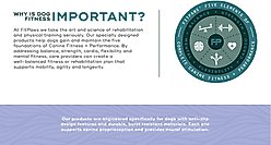 FitPAWS K9FITbone Dog Training Giant Balancing Bone, Turquoise slide 2 of 9