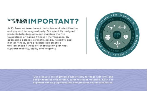 Show full view: FitPAWS K9FITbone Dog Training Giant Balancing Bone, Violet slide 9 of 10