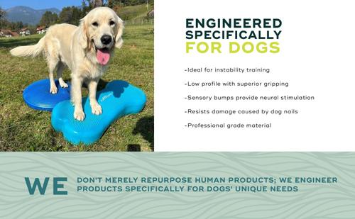 Show full view: FitPAWS K9FITbone Dog Training Giant Balancing Bone, Violet slide 7 of 10