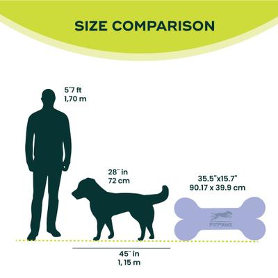 Show full view: FitPAWS K9FITbone Dog Training Giant Balancing Bone, Violet slide 6 of 10