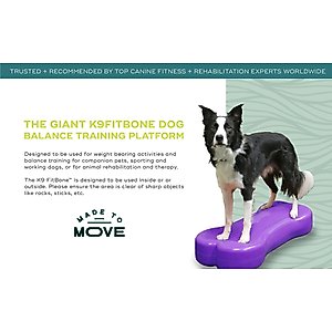FitPAWS K9FITbone Dog Training Giant Balancing Bone, Violet