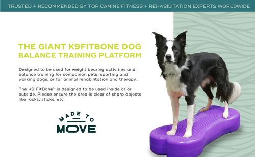 Show full view: FitPAWS K9FITbone Dog Training Giant Balancing Bone, Violet slide 8 of 10
