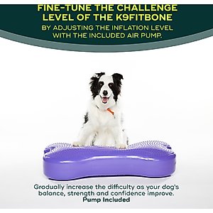 FitPAWS K9FITbone Dog Training Giant Balancing Bone, Violet